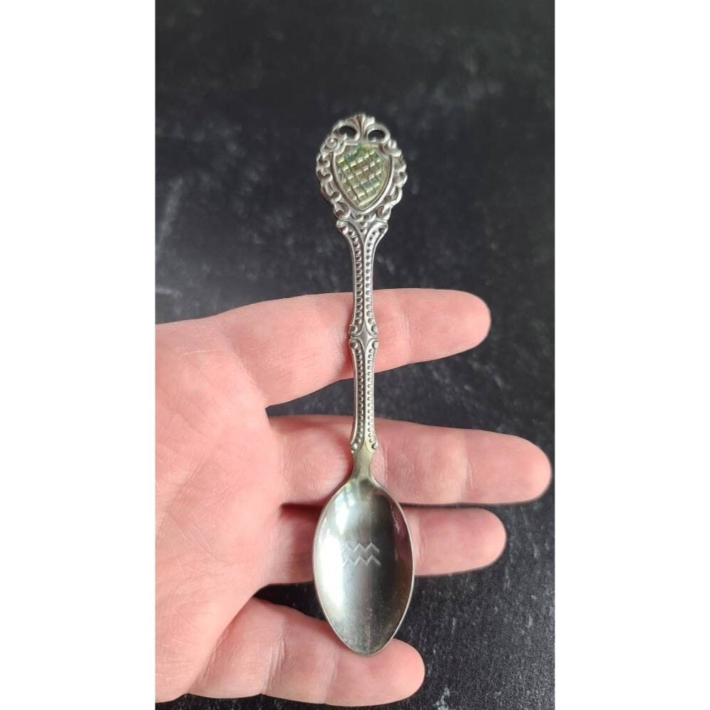 Aquarius Zodiac Sign Stainless Steel Spoon
